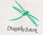 dragonfly logo